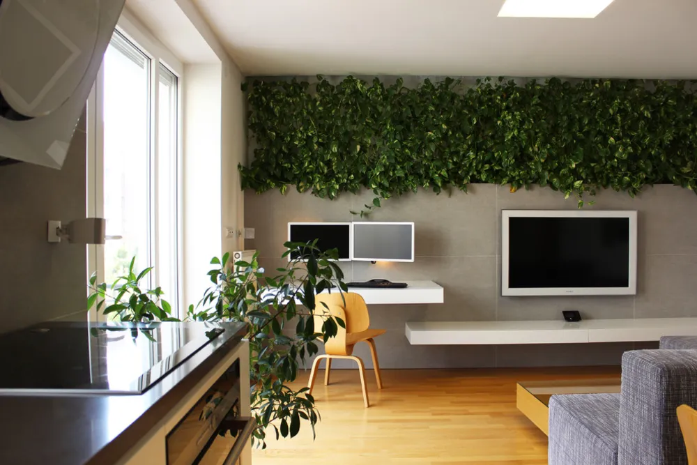 Trnavská cesta, Bratislava