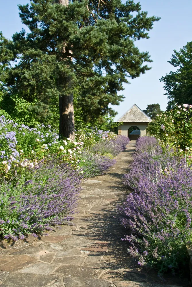Edwardianische Eleganz, Surrey
