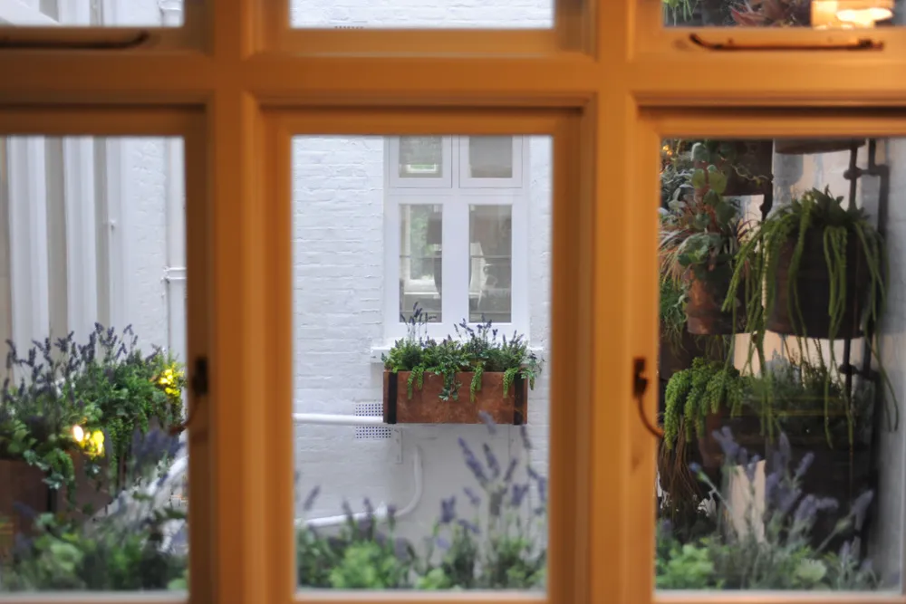 Lennox Gardens - Malá terasa a světlík