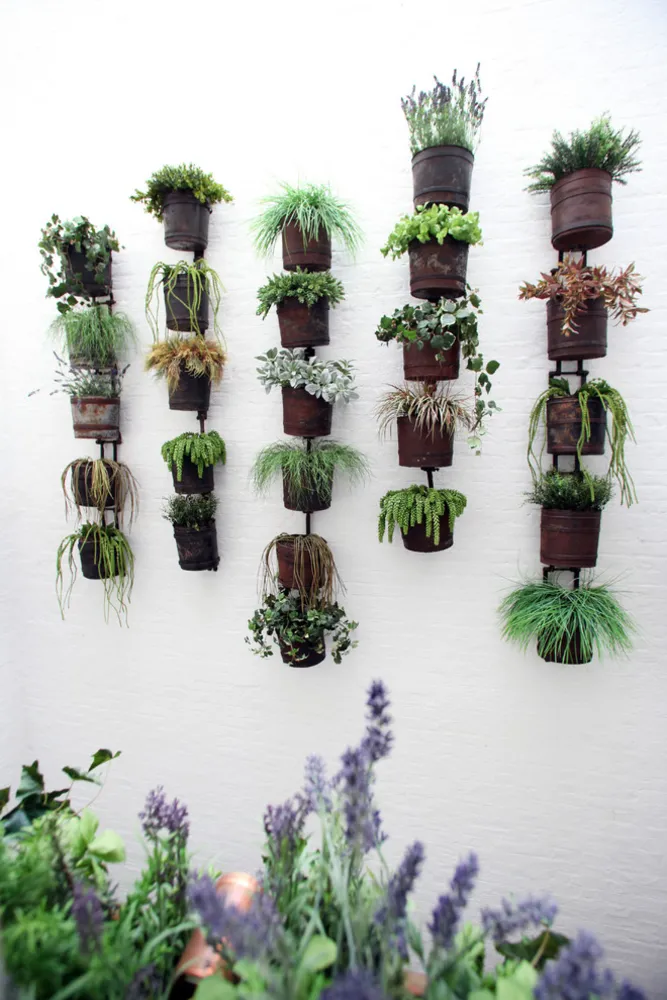 Lennox Gardens - Liten terrass och ljuskälla