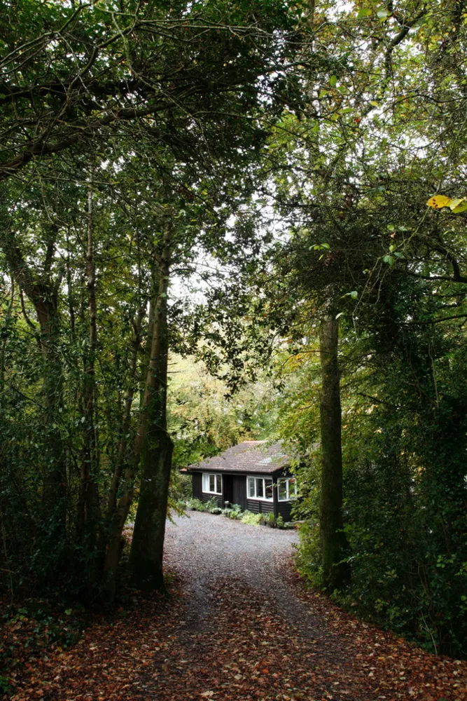 Hytte i skoven i Irland