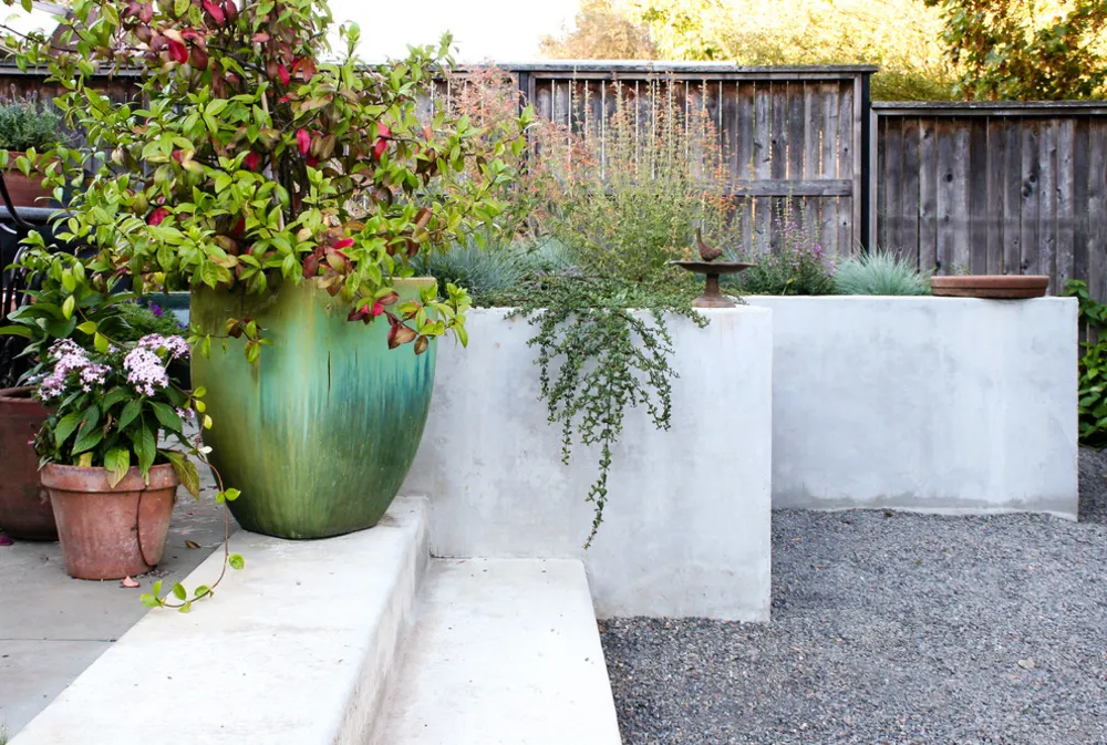 Бетонный контейнерный сад