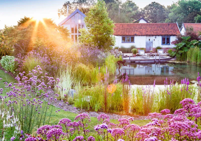 Richard Bloom Photography - The Swimming Pond Company