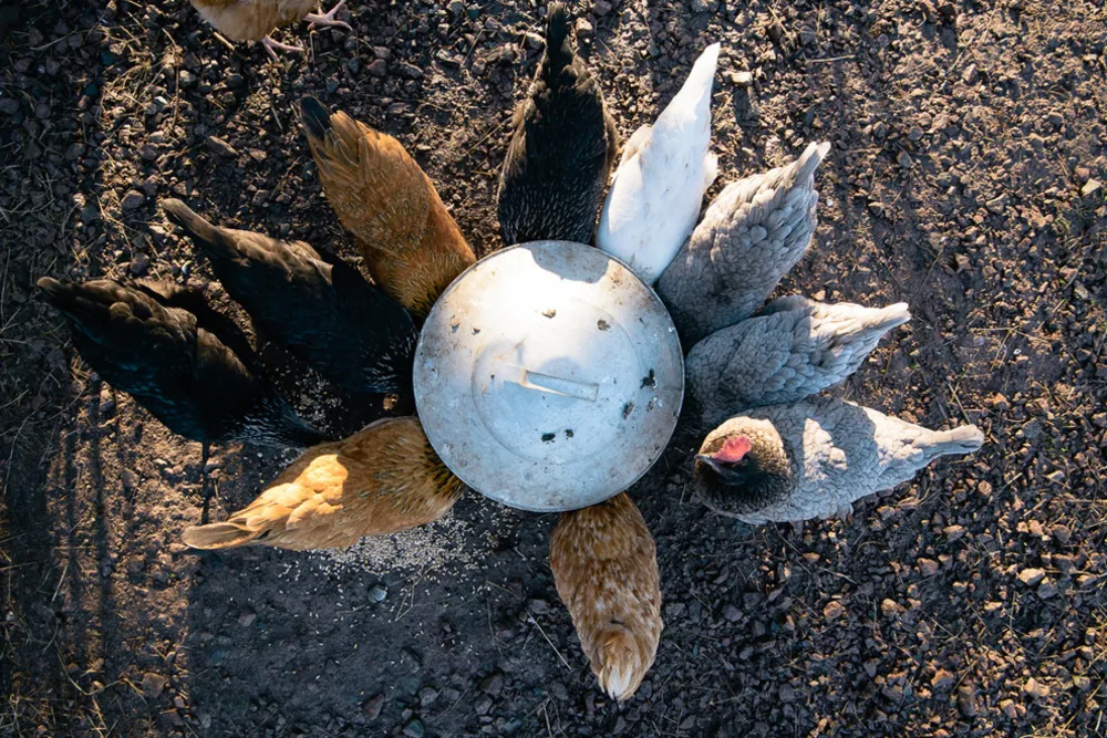 Cotes Mill Showroom || Pavimenti in pietra