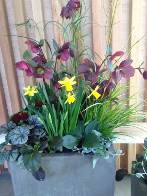 Spring Containers
