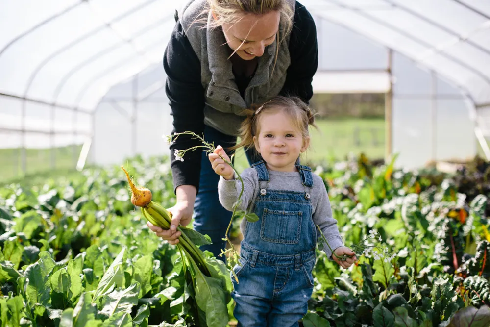 En charmig bondgård i Nashville, TN