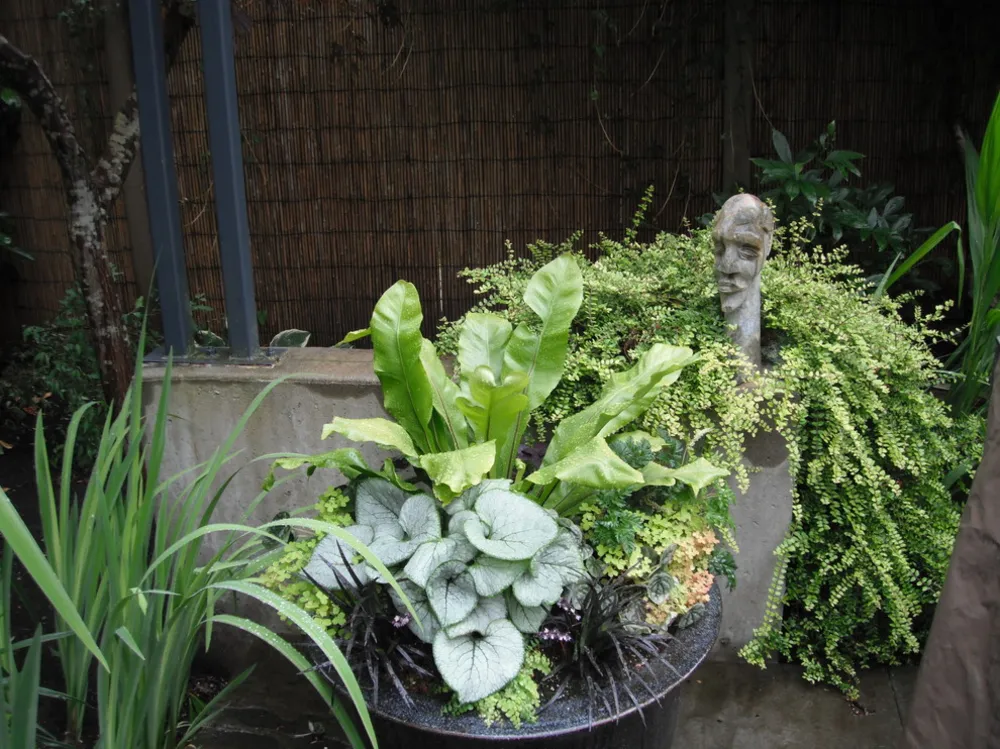 Эклектичные контейнеры для листвы