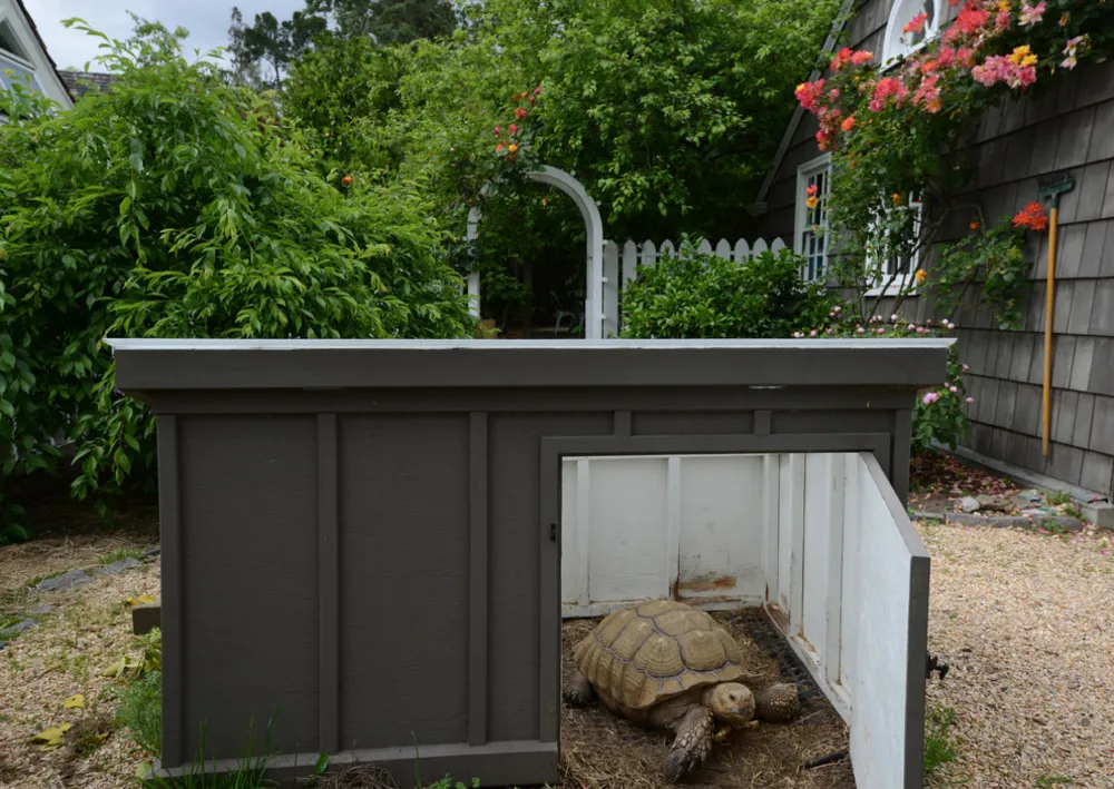2016 Gamble Garden Tour - Stanford