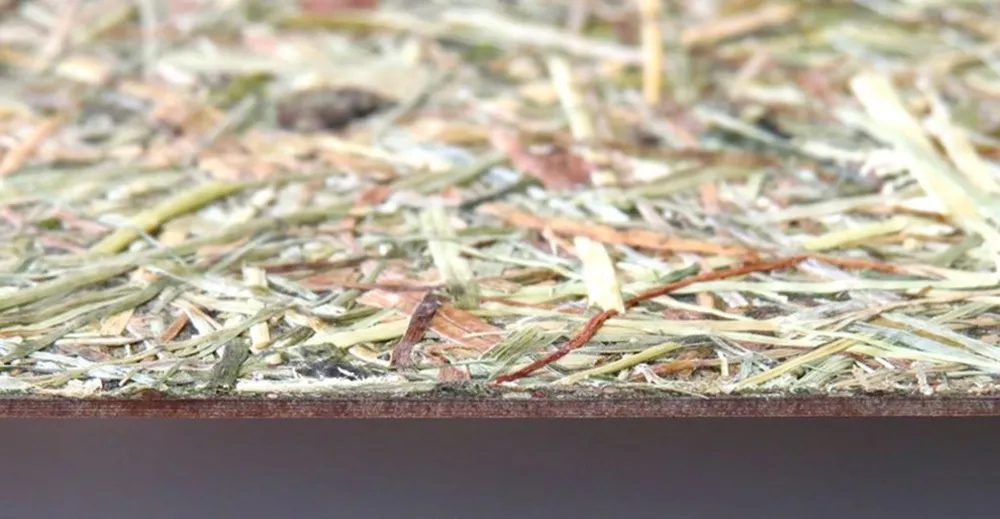 ORGANOID: Il decorativo a portata di senso