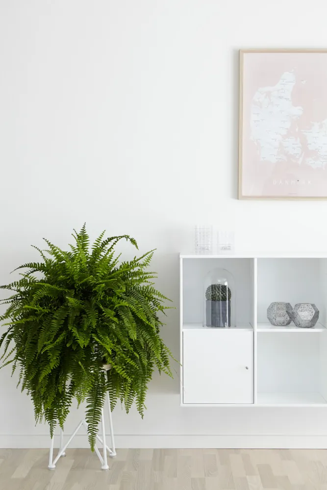 Servista Tours Charlotte Daugaard