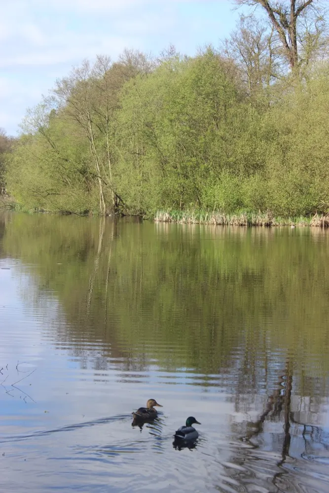 Templemer om sommeren