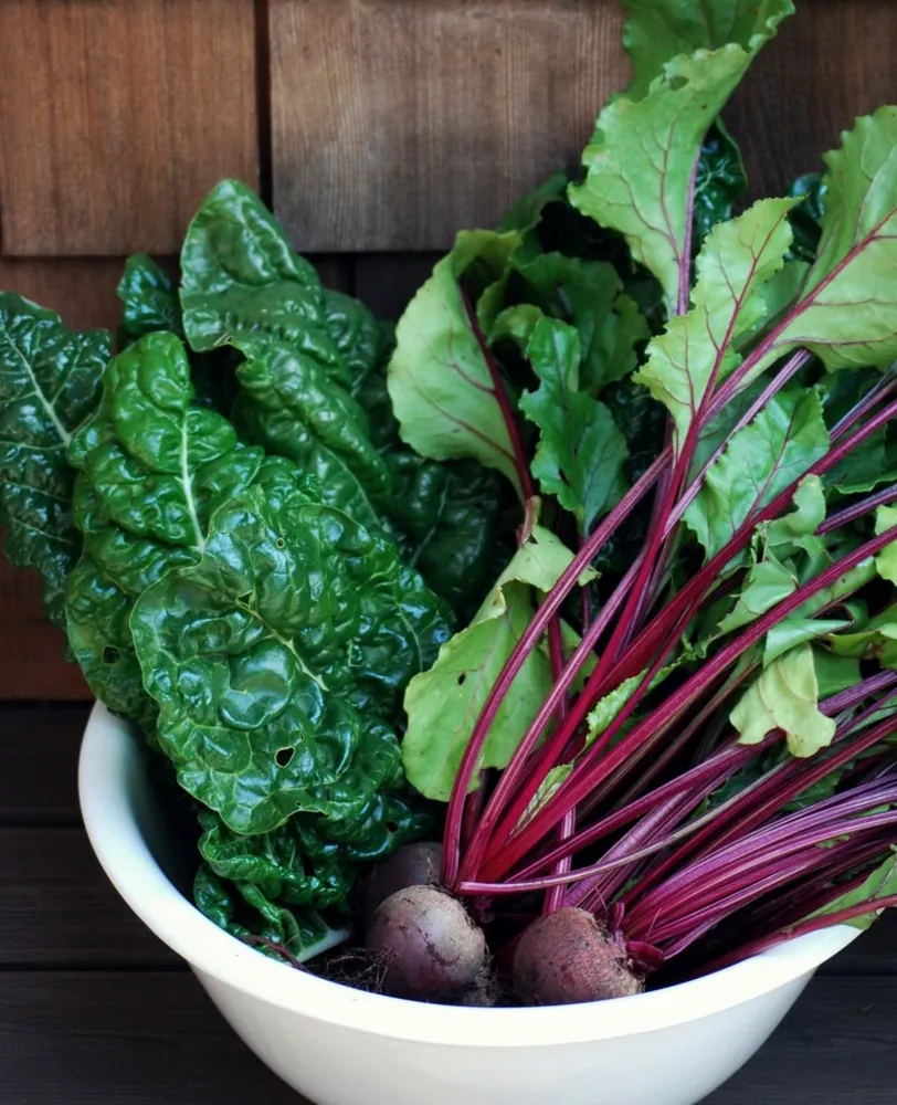 G A R D E N - Den spiselige have