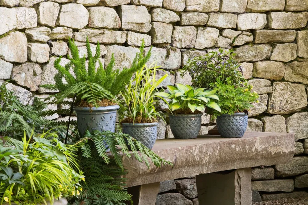 Container Gardens