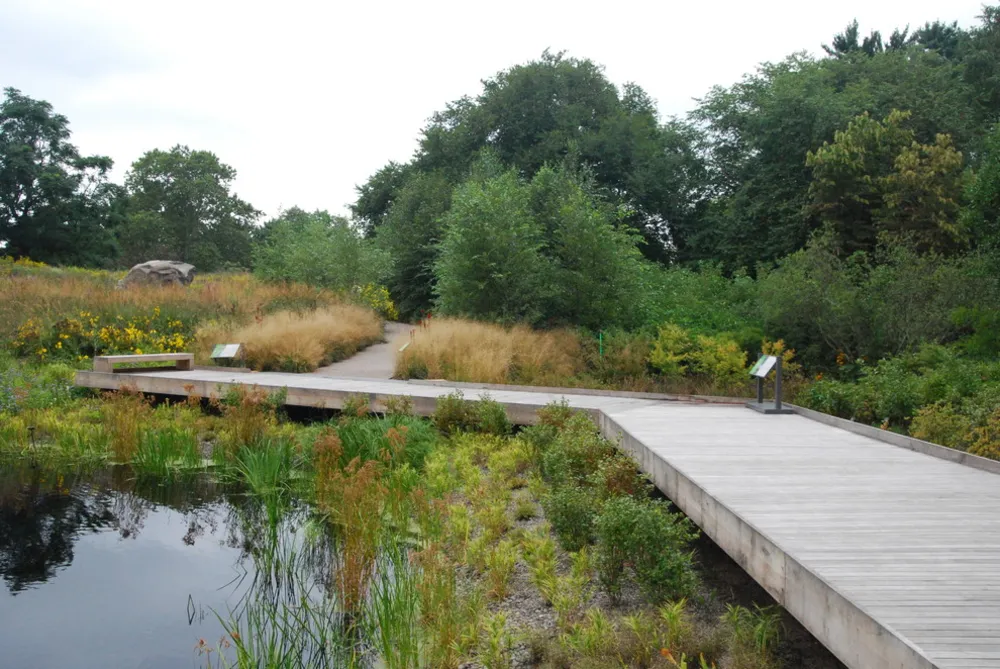 Садовий тур – знайомство з місцевими жителями Нью-Йоркського ботанічного саду