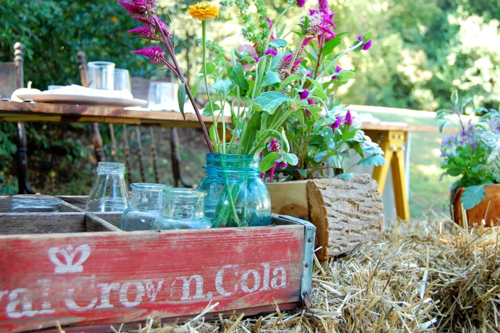 історія осіннього обіду