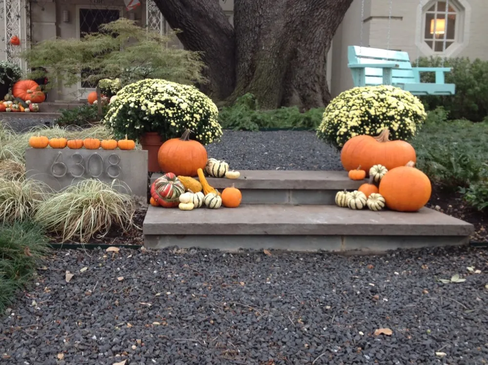 Höstens säsongens pumpadisplay