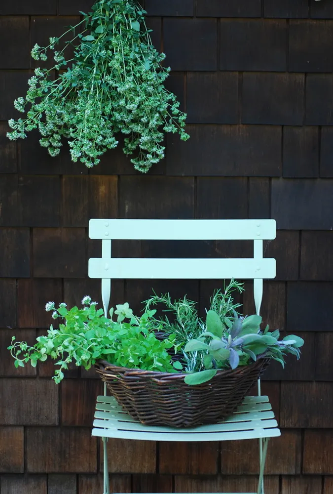 G A R D E N - Giardino delle erbe aromatiche