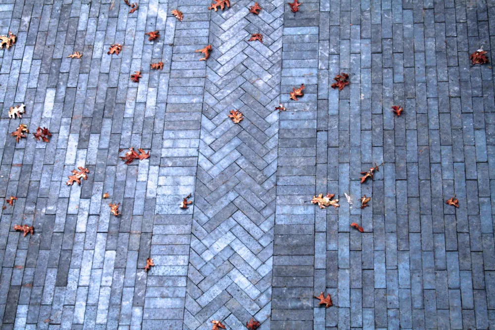 Rezidence Belmont Hill