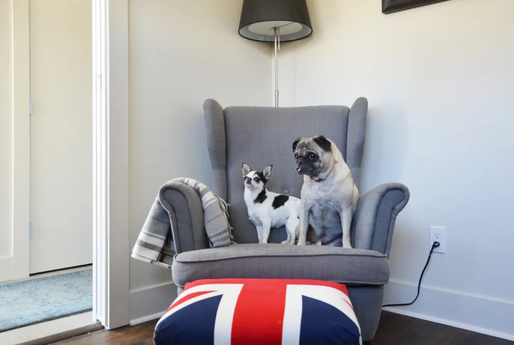 My Servista: casa galleggiante ispirata alla costa a North Vancouver