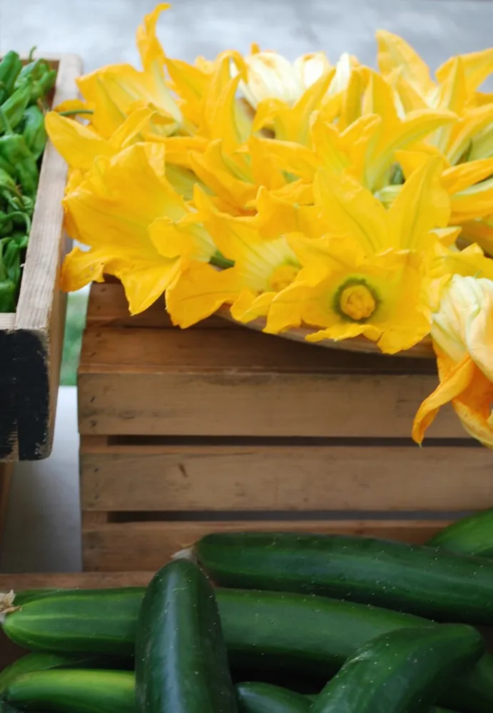 F A R M - Çiftçi Pazarları + Yol Kenarı Standları