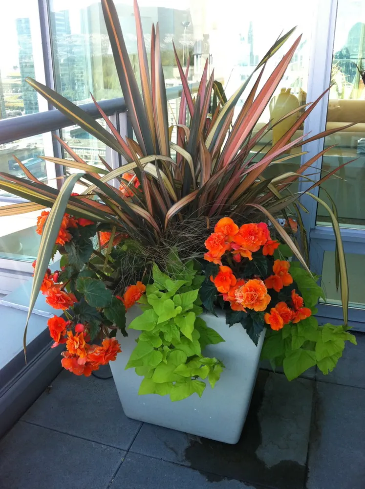 Coal Harbour Penthouse