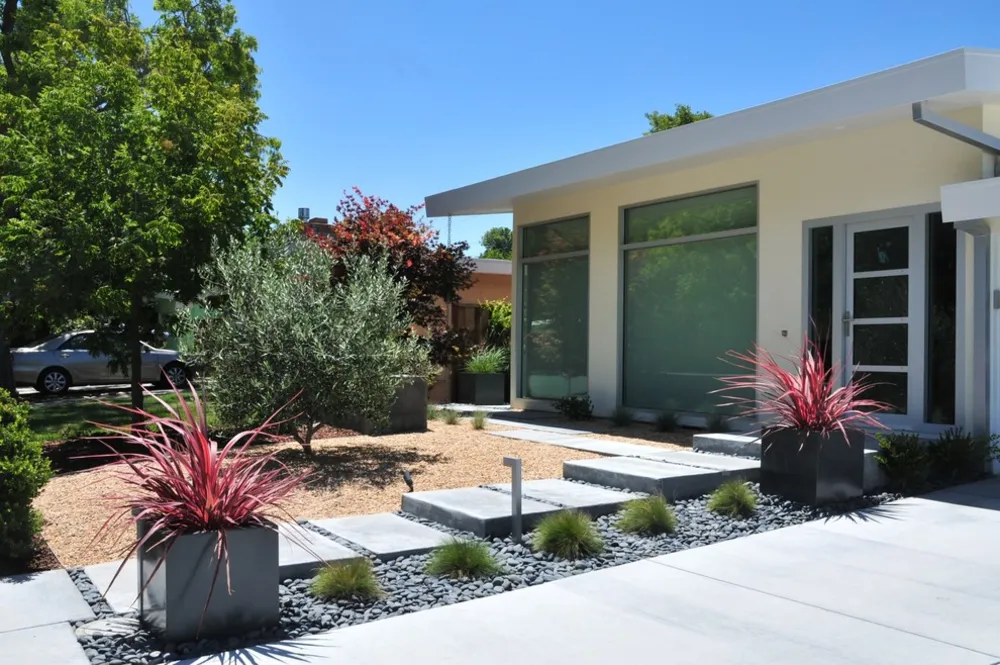 Mountain View Contemporary