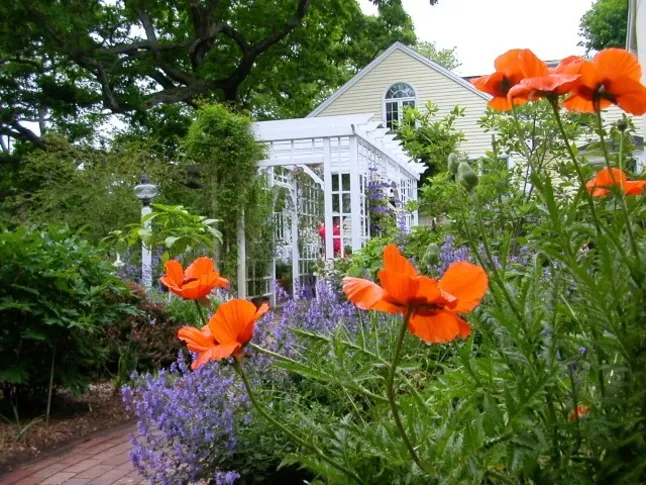 The Pergola Connector