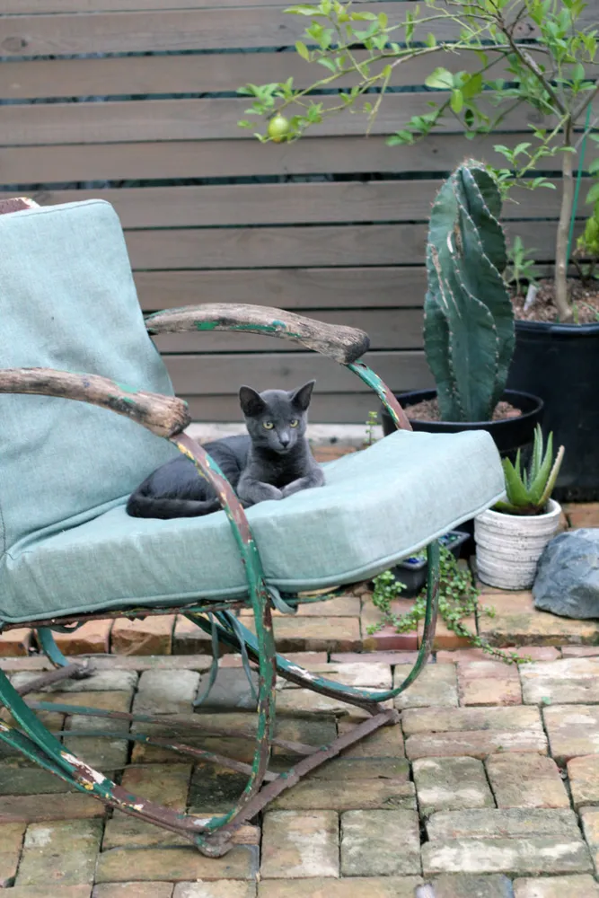 My Servista: una visione personale per una casa a New Orleans