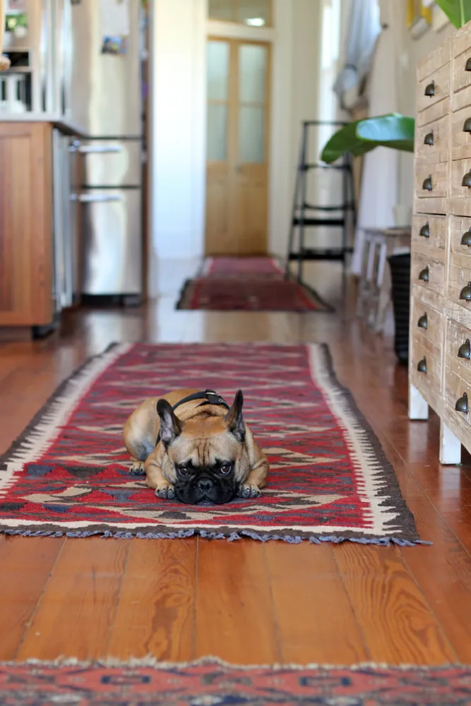 My Servista: una visione personale per una casa a New Orleans