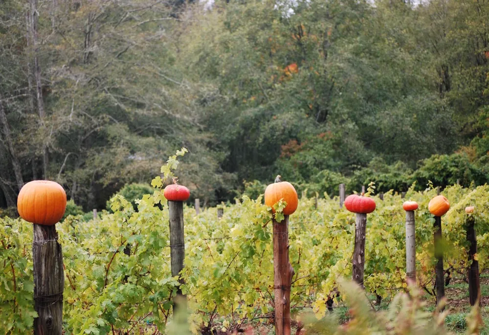 F A R M - Säsongsbetonad höst