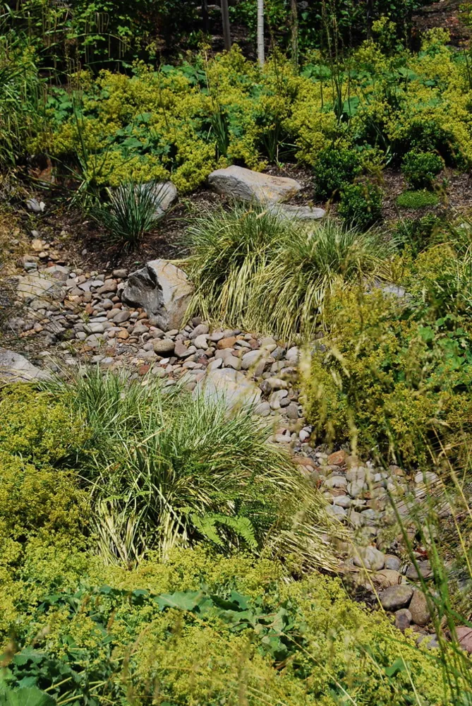 dekorativní dešťová vlna