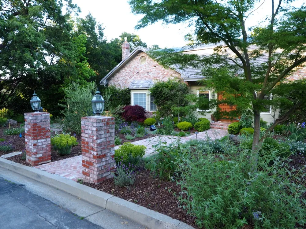 Sostituzione del prato in un ambiente difficile