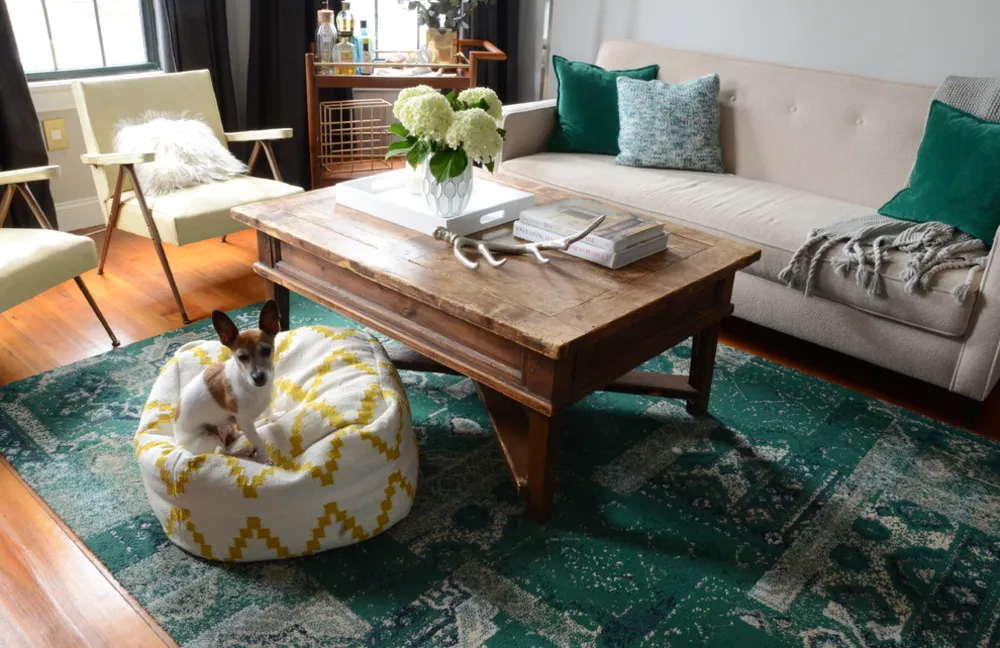 My Servista: un condominio familiare pieno di sole a Boston