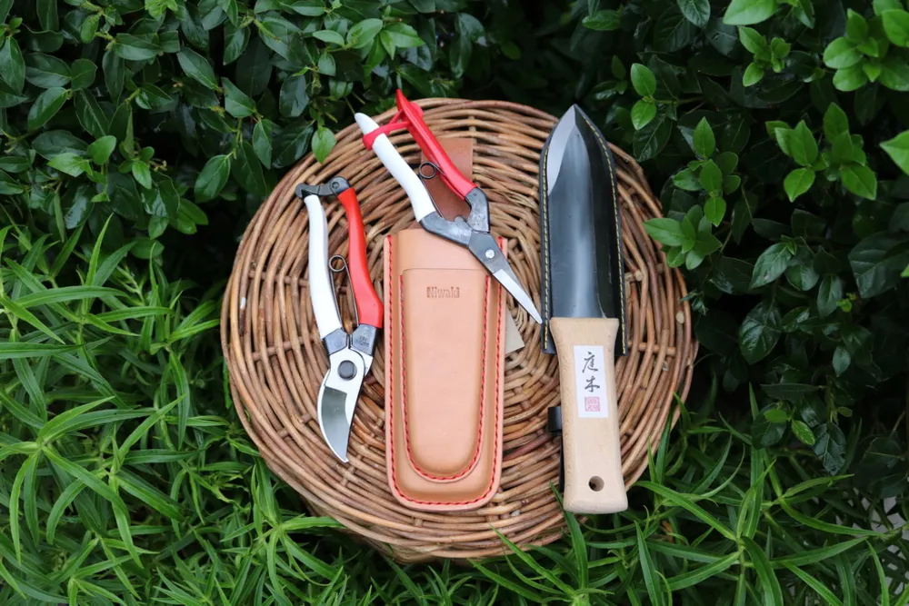 Gave på arkitektoniske planter