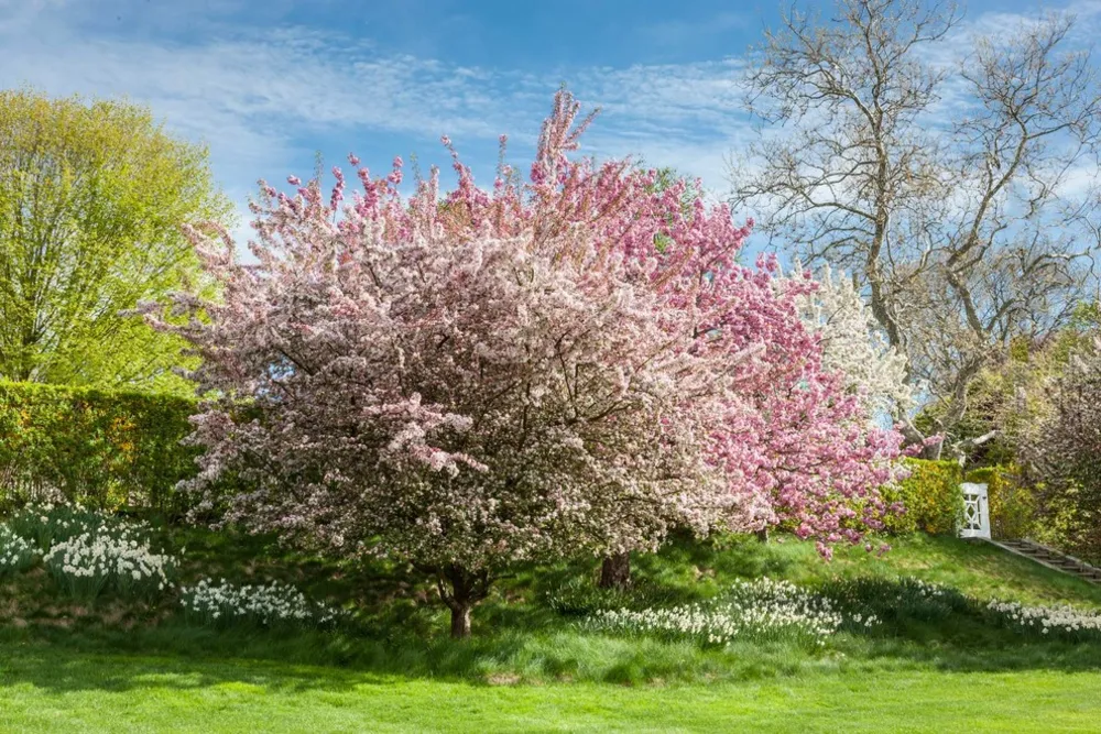 Дом у пролива