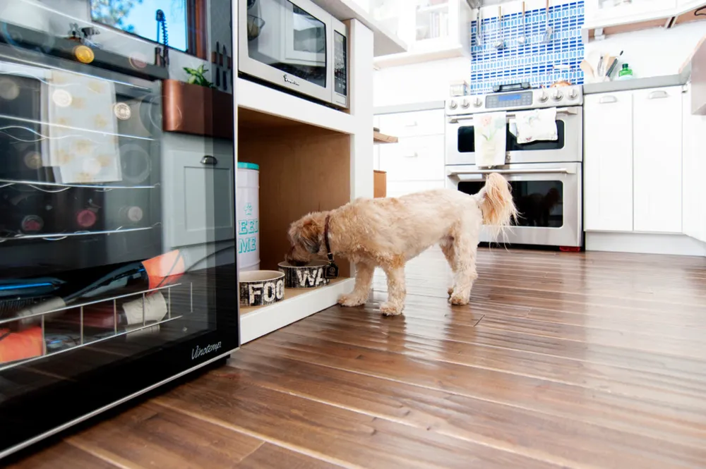 My Servista: Colorado Fixer-Upper viene recuperato e rinnovato