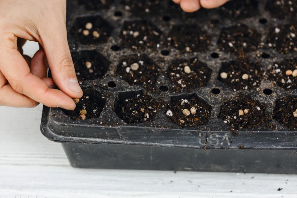 Kesme Çiçek Bahçesi kitabı