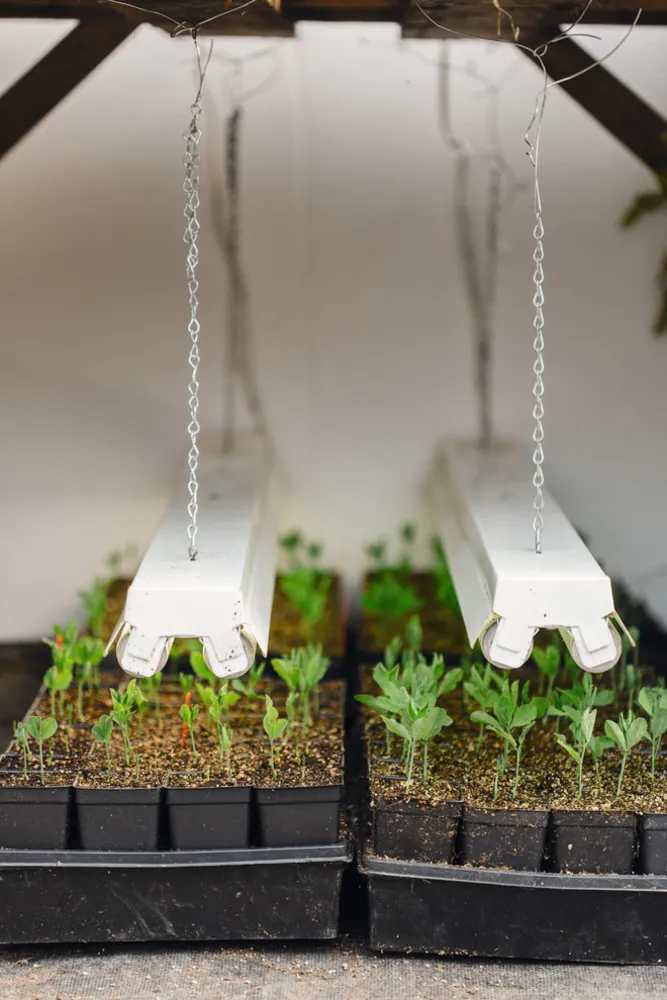 Вырезанная книга 