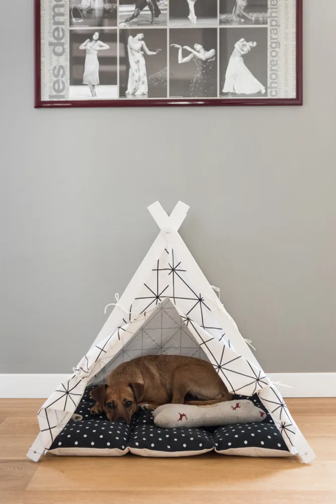 Visita Privata: A casa di Irene e Marcello