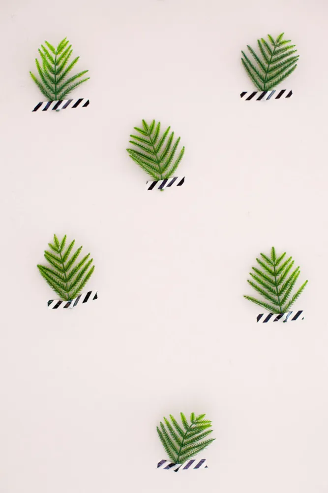 My Servista: Colorful Preppy Style in South Carolina