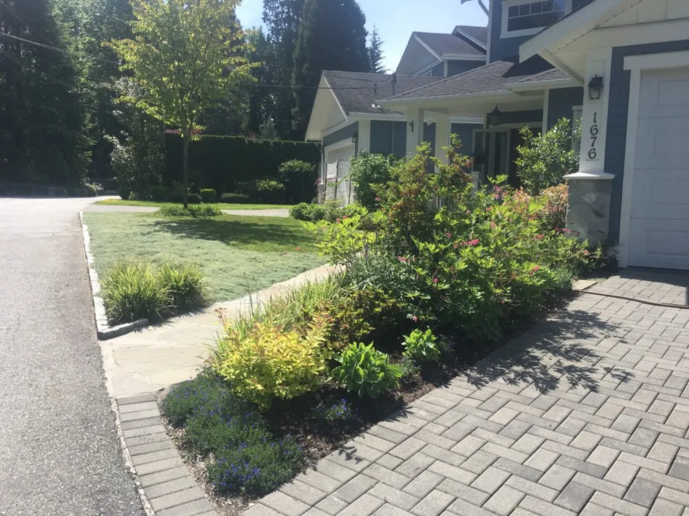 Альтернатива лужайке Айоко