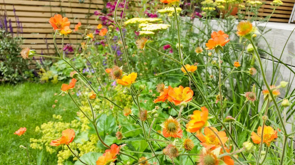 Giardino familiare con sdraio