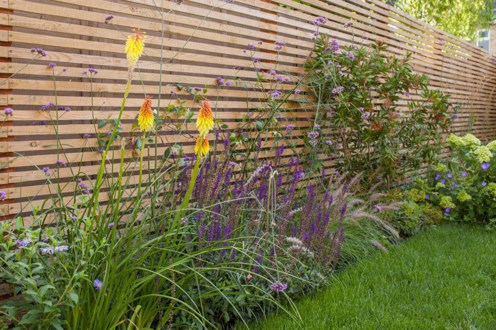 Giardino familiare con sdraio