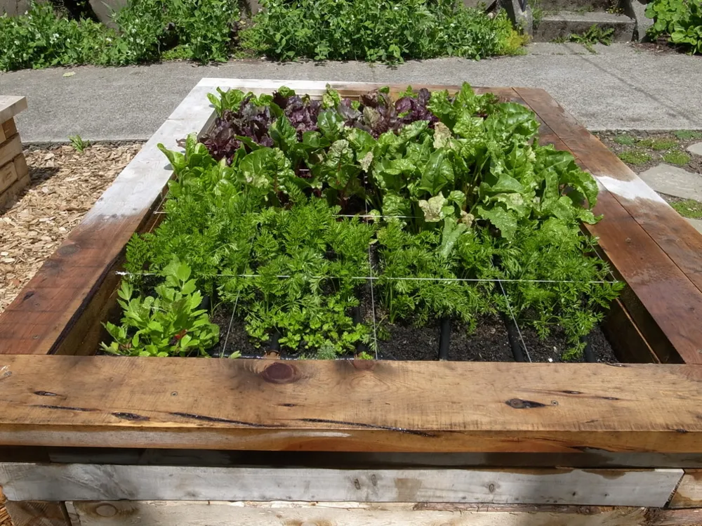 Wallingford Vegetable Beds