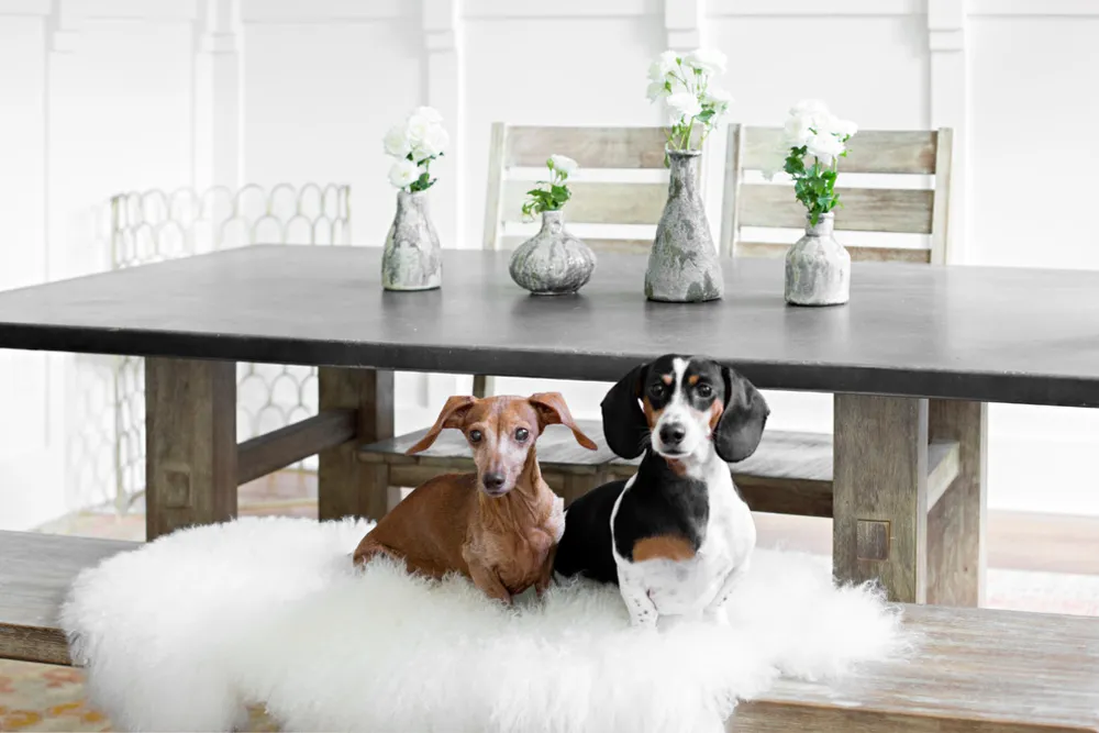 My Servista: casa bohémien colorata per 2 imprenditori di Nashville