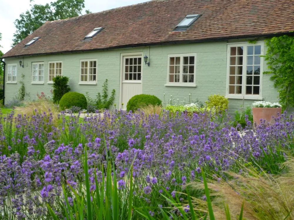 Sådan deadhead velkendte planter