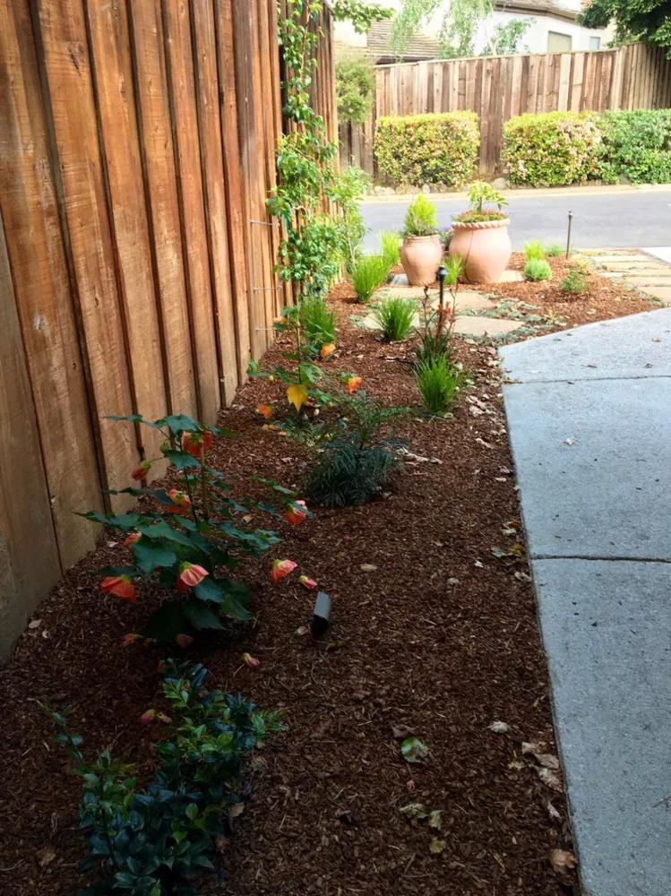Utilizzo massimo per un cortile di una casa a schiera