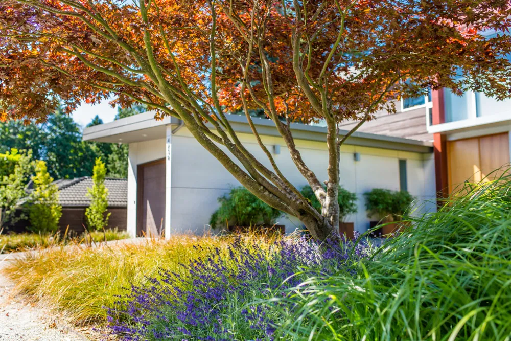 Seattle Silver Screen