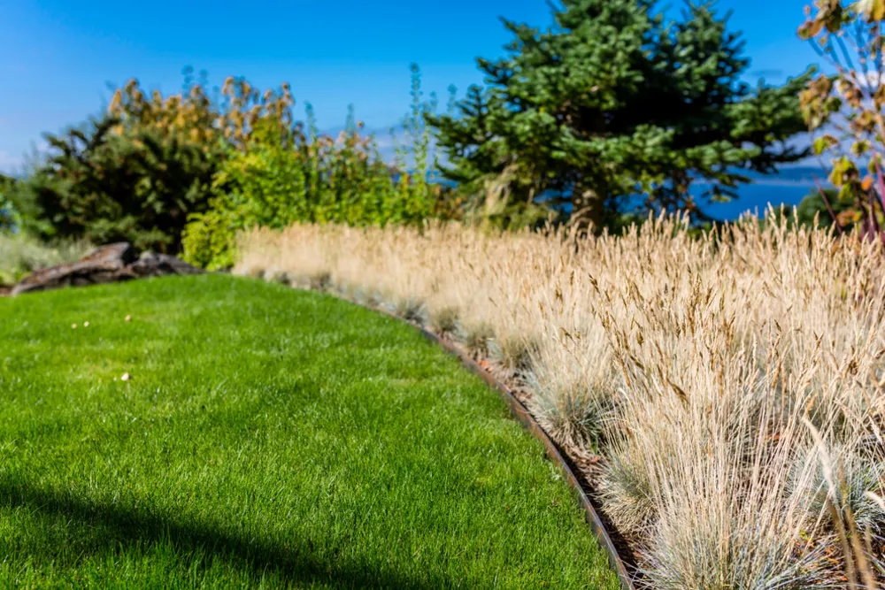 Seattle Silver Screen