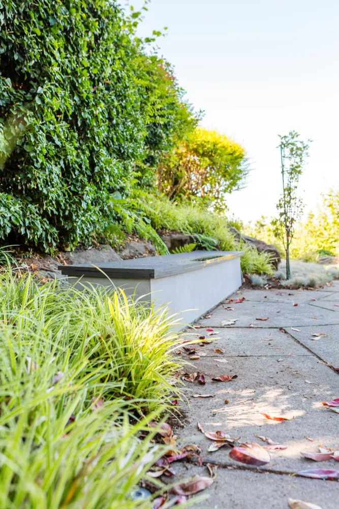 Seattle Silver Screen